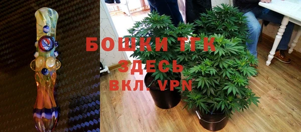сатива Осинники
