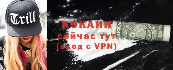 сатива Осинники