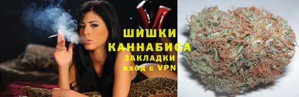 мет Алексин
